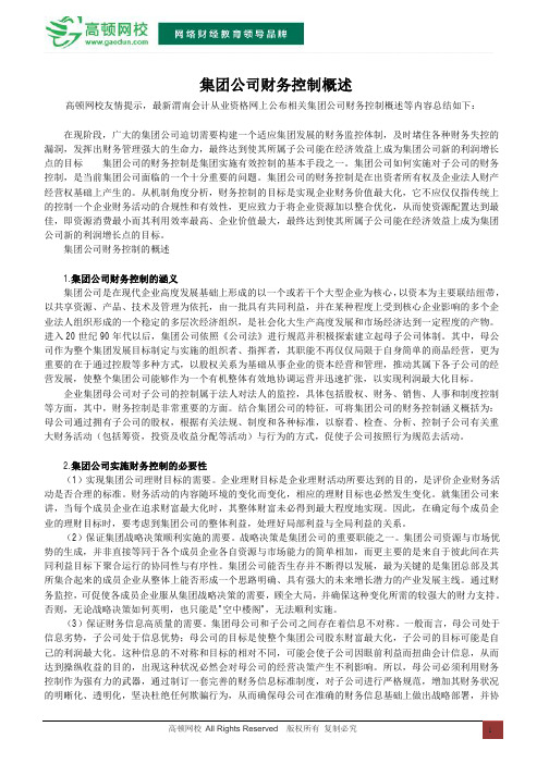集团公司财务控制概述