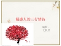 最美三行情诗讲座
