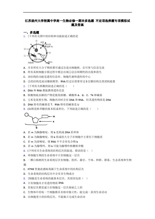 江苏扬州大学附属中学高一生物必修一期末多选题 不定项选择题专项模拟试题及答案