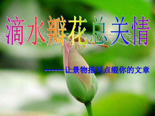 作文：多角度描写景物PPT课件