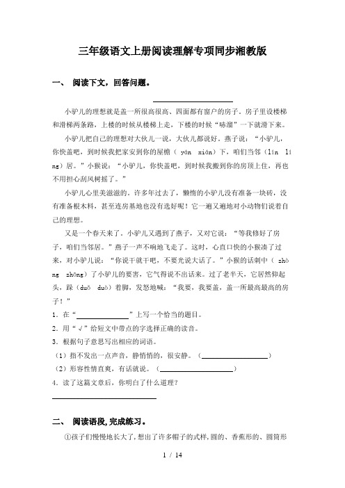 三年级语文上册阅读理解专项同步湘教版