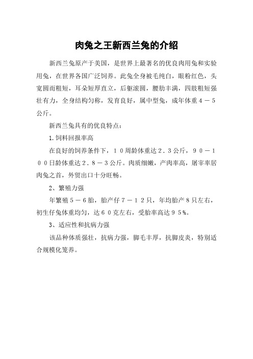 肉兔之王新西兰兔的介绍