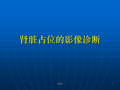 肾脏占位的影像诊断ppt课件