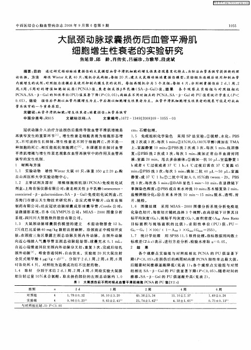 大鼠颈动脉球囊损伤后血管平滑肌细胞增生性衰老的实验研究