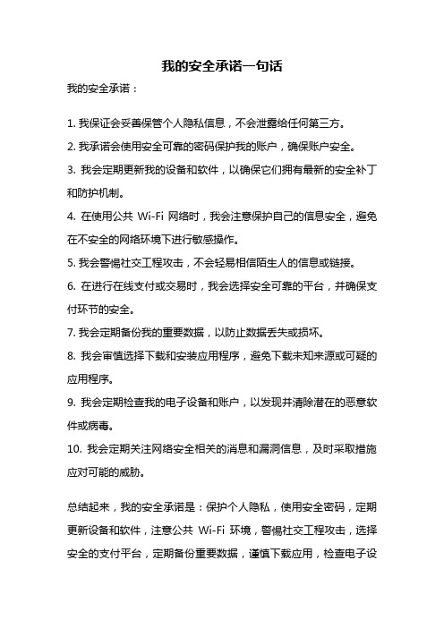 我的安全承诺一句话