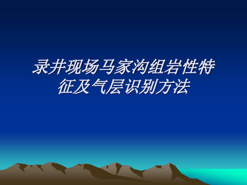 马家沟组地质特征及气层判别(转载)