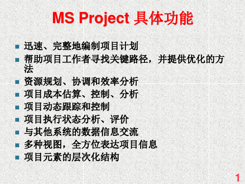 MS Project 操作说明