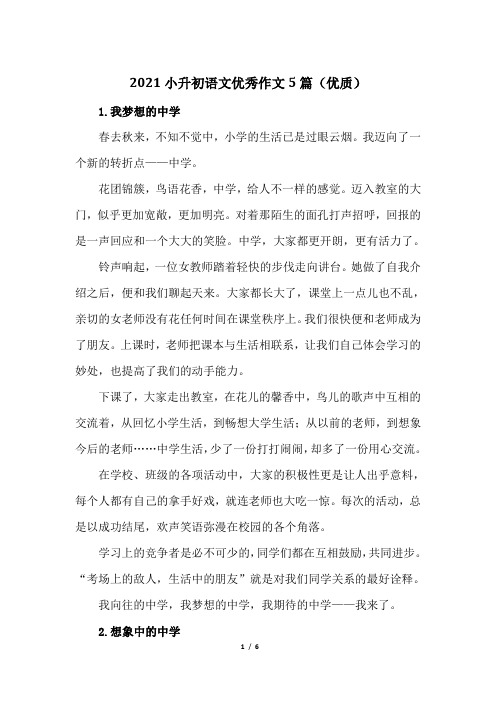2021小升初语文优秀作文5篇(优质)