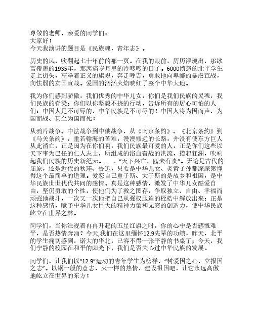 演讲稿(民族魂,青年志)