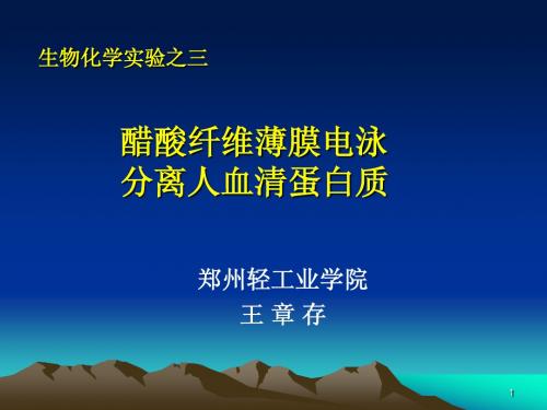 醋酸纤维薄膜电泳分离人血清蛋白质