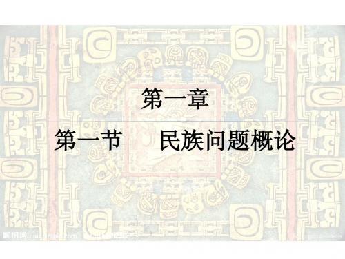 课件 民族概论