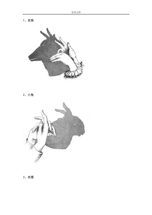 手影教学 、、全集
