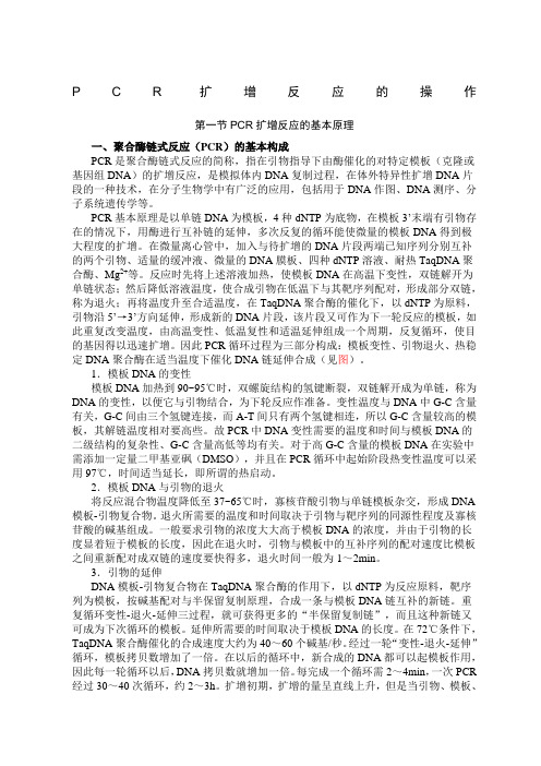 PCR扩增的原理和操作步骤
