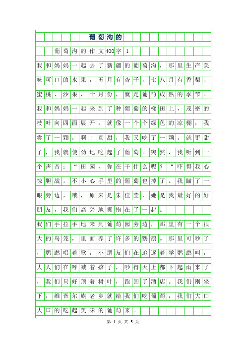 2019年葡萄沟的作文400字