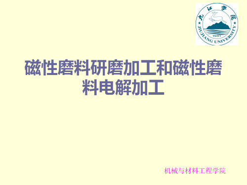 磁性磨料研磨加工