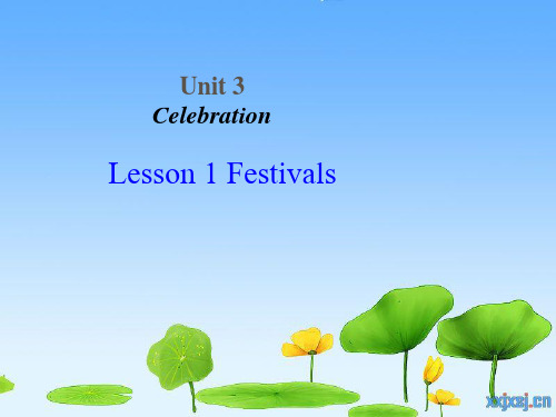 festival优质课
