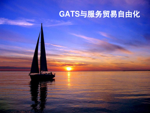 13gats与服务贸易自由化