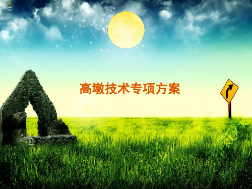 高墩专项方案ppt