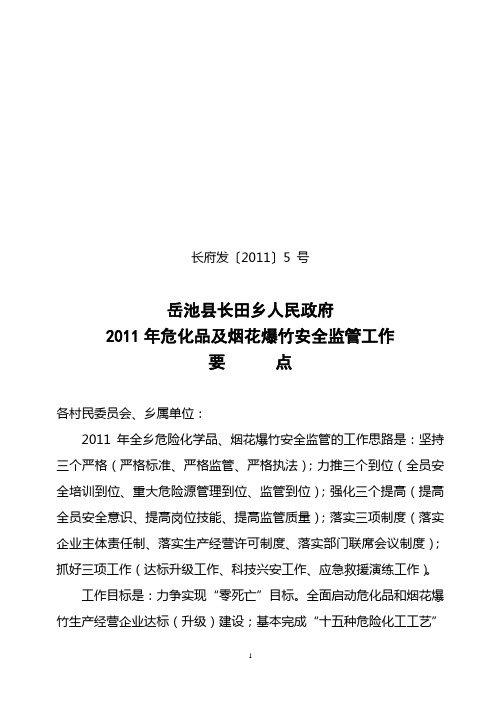 5号—2010年危化品及烟花爆竹安全监管工作