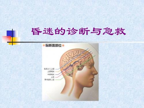 昏迷的诊断与急救