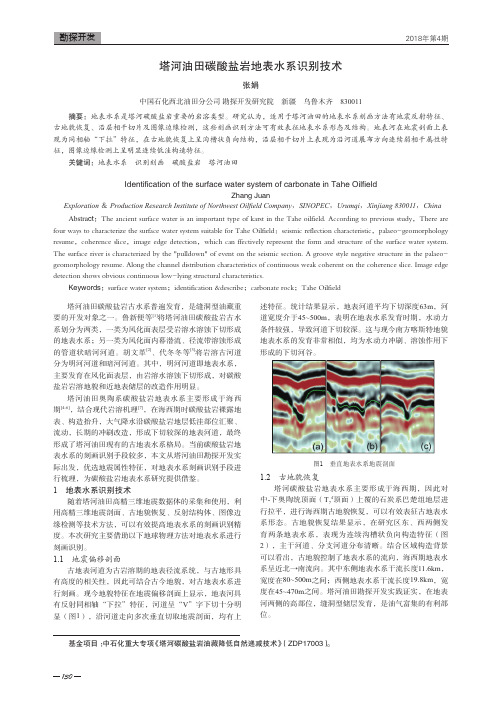 塔河油田碳酸盐岩地表水系识别技术