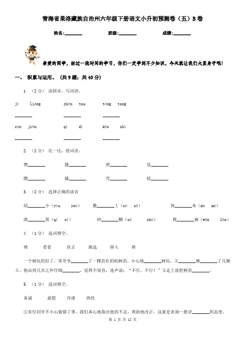 青海省果洛藏族自治州六年级下册语文小升初预测卷(五)B卷