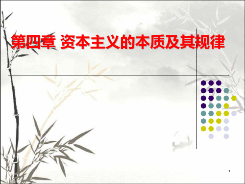 资本主义的本质及其规律 PPT课件