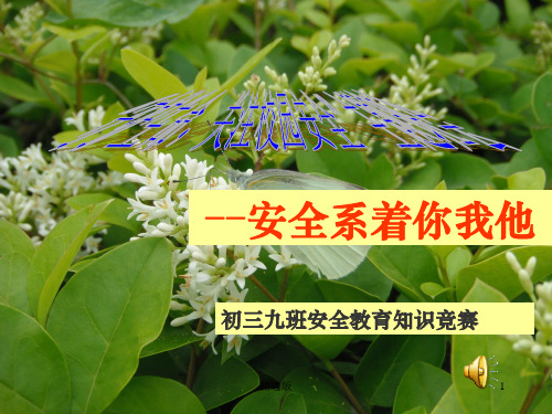安全教育主题班会赛课ppt课件