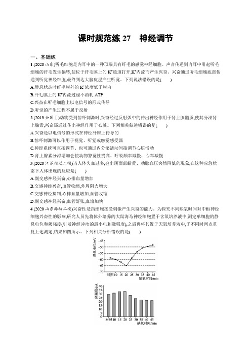 2022年(新教材)新高考生物一轮复习练习：课时规范练27 神经调节