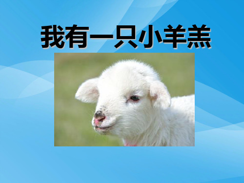人音版一年级上册《我有一只小羊羔》PPT课件2课件PPT