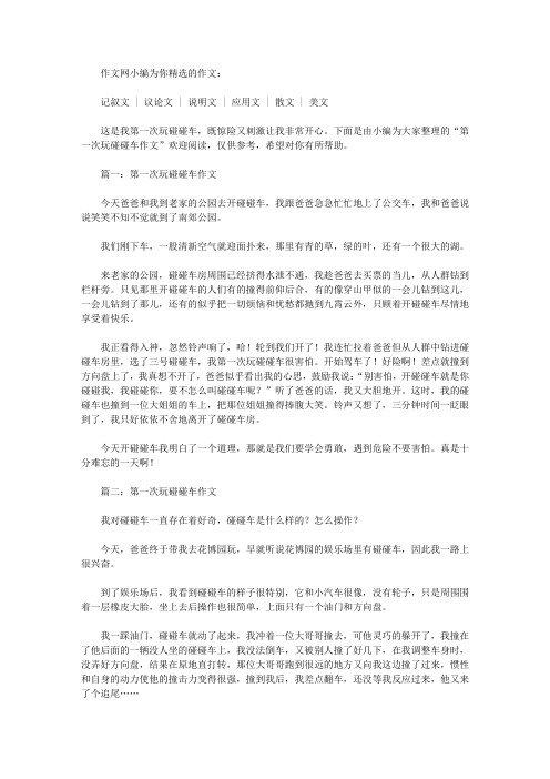 第一次玩碰碰车作文