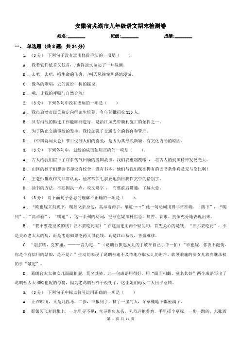 安徽省芜湖市九年级语文期末检测卷