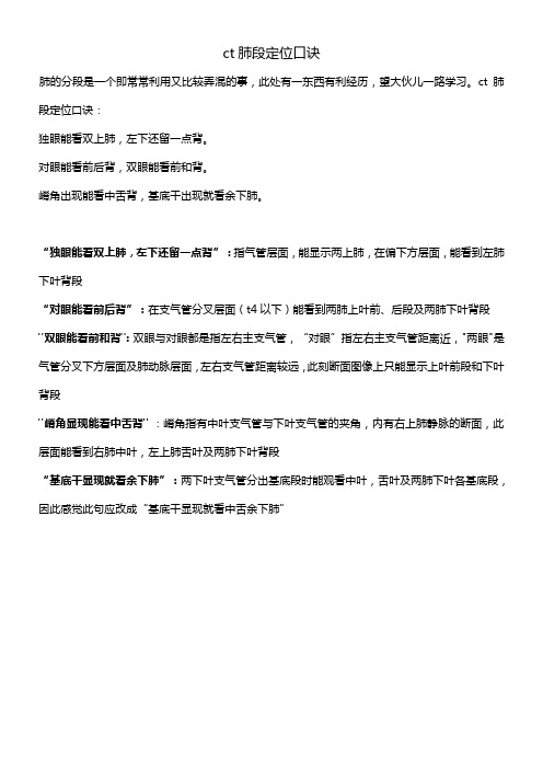 CT肺的分叶分段