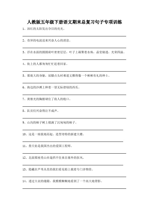 人教版五年级下册语文期末总复习句子专项训练
