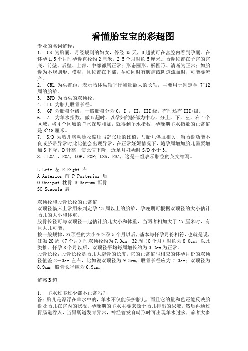 看懂胎宝宝的彩超图
