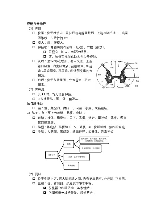 神经系统(2) 笔记