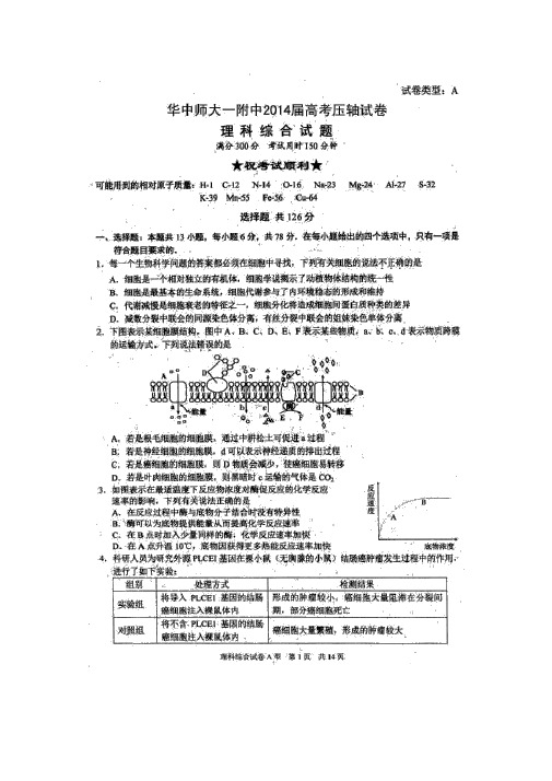华师一附中五月理综及答案