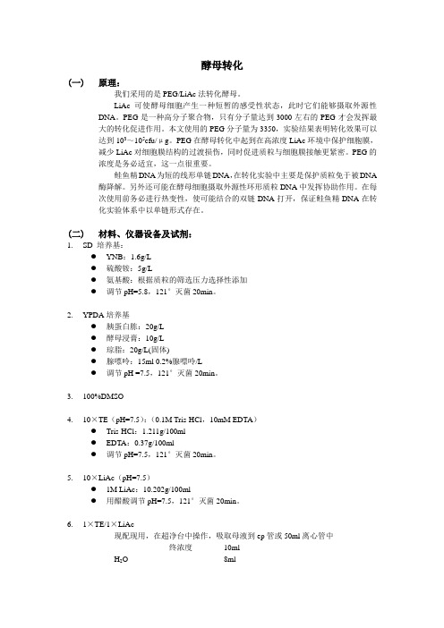 酵母双杂交-孔德晶