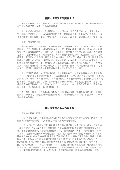 有努力才有真正的美丽作文

