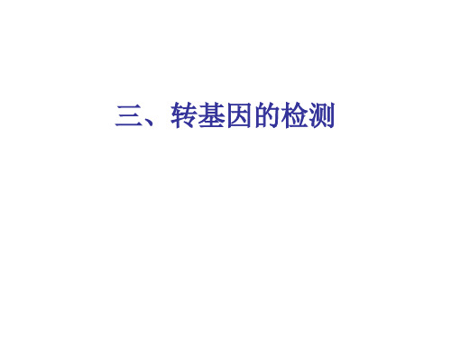 转基因鉴定与安全性评估