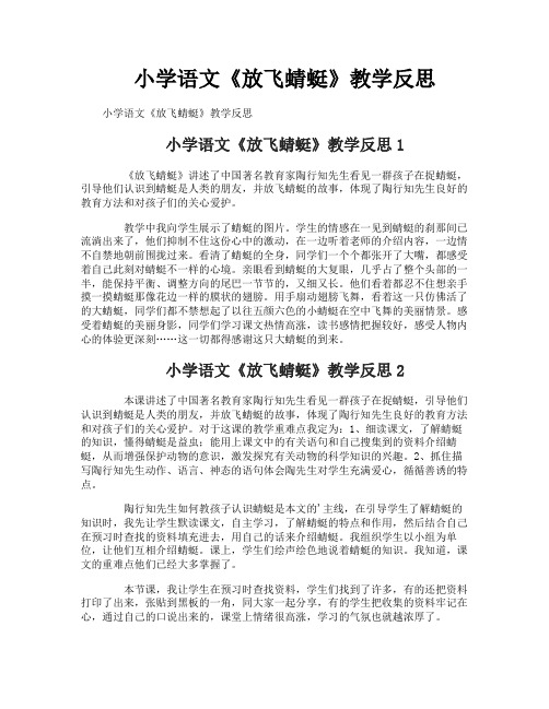 小学语文《放飞蜻蜓》教学反思