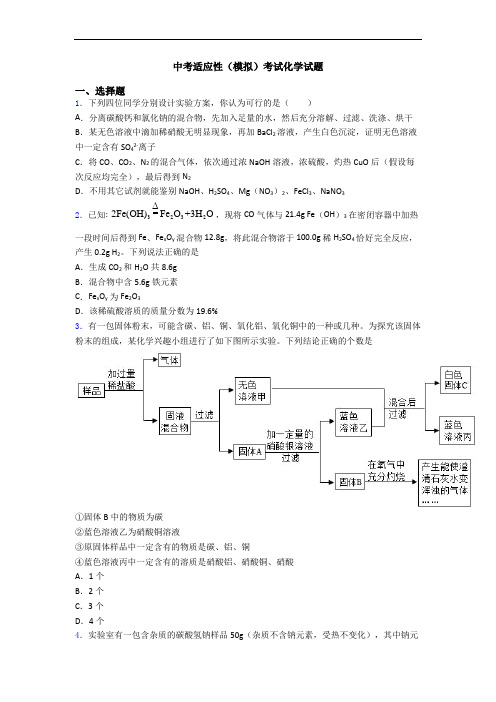 中考适应性(模拟)考试化学试题