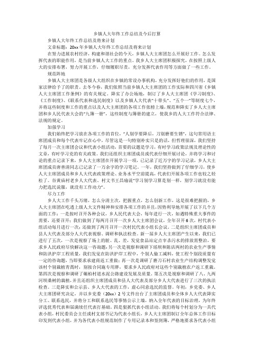 乡镇人大年终工作总结及今后打算