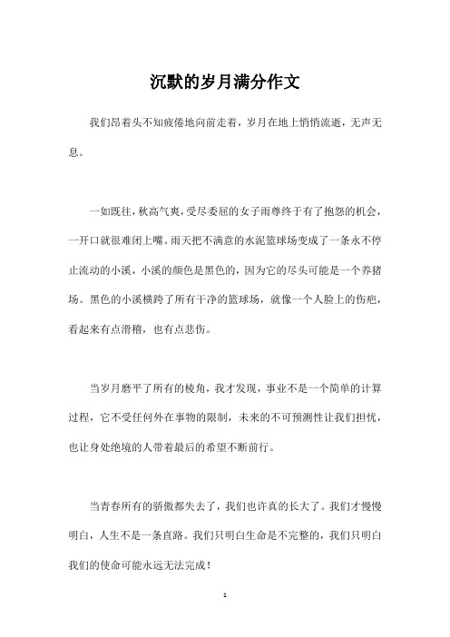 沉默的岁月满分作文