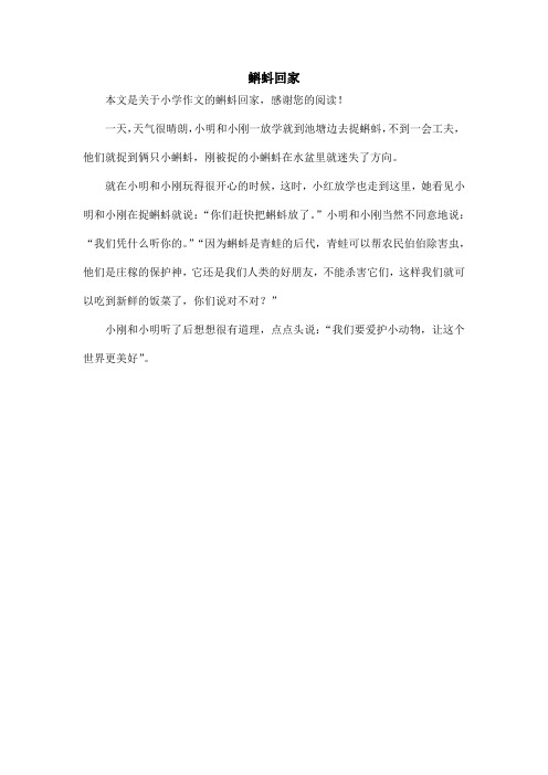 蝌蚪回家_小学作文