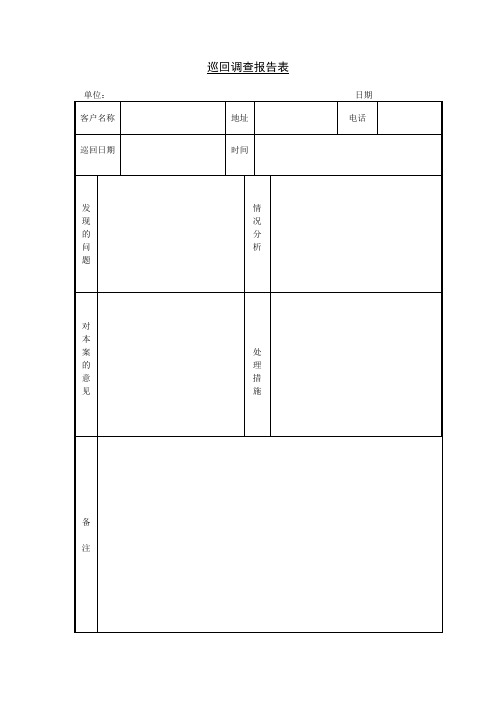 巡回调查报告表