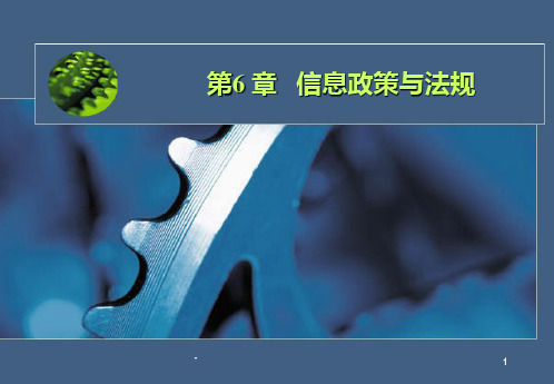 第6章--信息政策与法规PPT课件