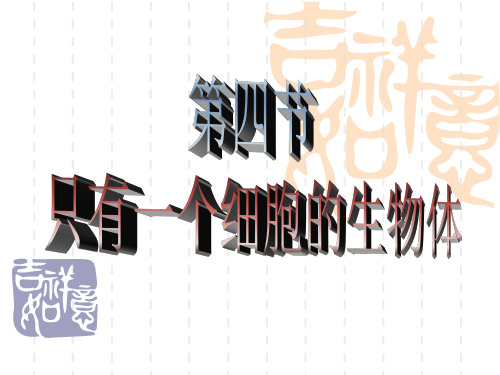 第四节 只有一个细胞的生物体