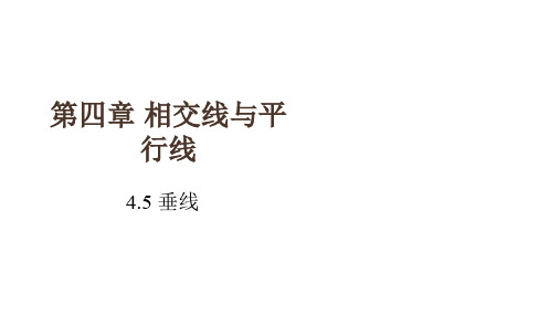七年级数学下册 4.5 垂线同步课件 (新版)湘教版