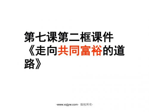 九年级思想品德人教版第七课第二框课件《走向共同富裕的道路》